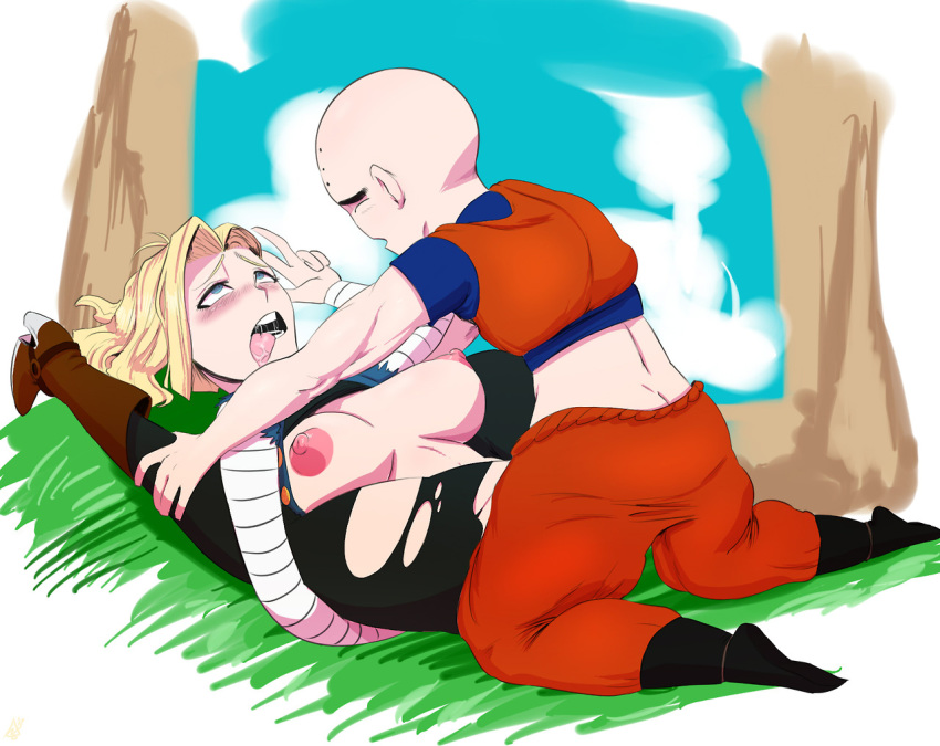 and dbz krillin android 18 Love is war