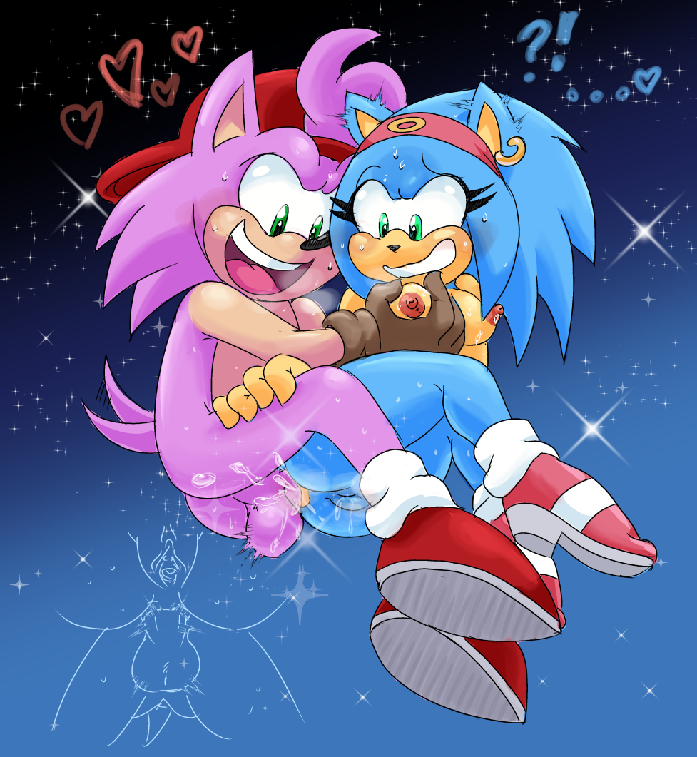the female hedgehog characters sonic Ladybug and chat noir sex